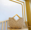 Bolsa Ivete
